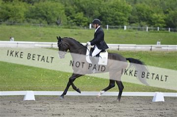 140040_abo_01__AB17111.JPG