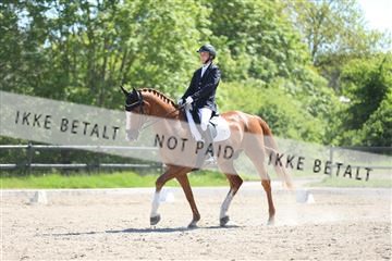 168732_mtp_01_3M5A7730.JPG