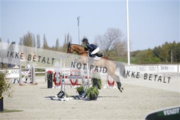 181332_kbb_01_6II3971.JPG