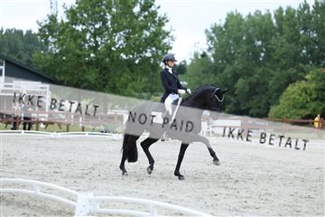 181923_mtp_01_R62_6580.JPG