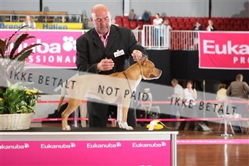 6068_ma_05_IMG_6007.JPG