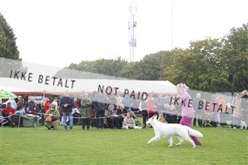 182009_kar_01__62_5465.JPG