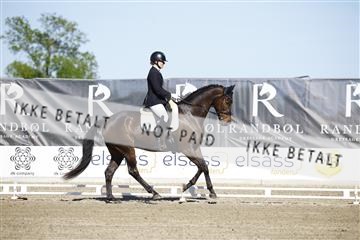 181449_kbb_01_6II9779.JPG