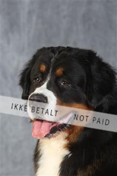 130054_le_ 03_0308.JPG