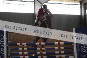 139206_kl_1_8M1Q5244.JPG