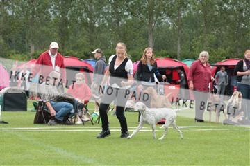 135379_tl_02_IMG_9224.JPG
