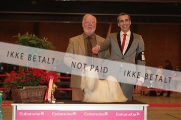 124188 _tl_02_IMG_9295.JPG