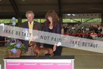 126168_se_02_IMG_0478.JPG
