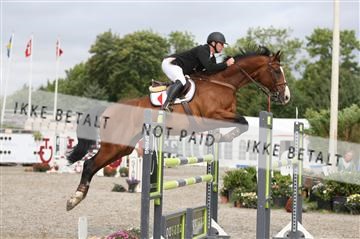 152762_nn _05_IMG_7769.JPG