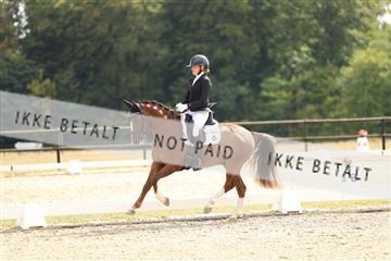 181894_mtp_02_R62_2350.JPG