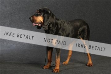 132082_le_ 01_IMG_0835.JPG