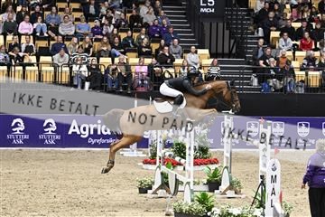 182194_kbb_02_Z099587.JPG