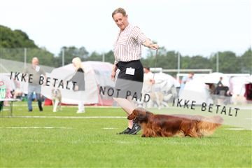 181564_rin_02_R62_1400.JPG