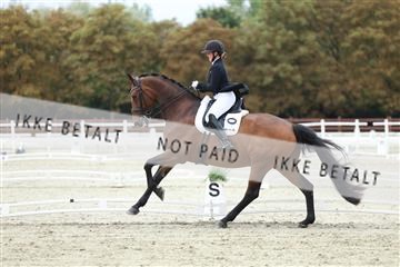 181923_mtp_04_R62_8864.JPG
