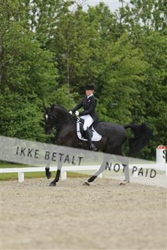139835_sg_03_IMG_9154.JPG