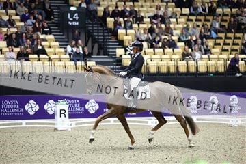 182194_mlm_02_R62_0452.JPG