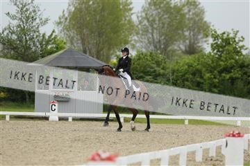 139835_sg_01_IMG_8280.JPG
