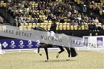 182194_kbb_03_Z091572.JPG