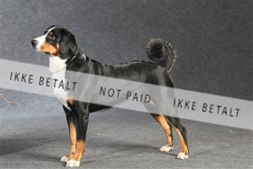 132082_le_ 01_IMG_1340.JPG