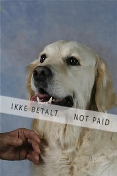 5493_sme _03__MG_9876.JPG