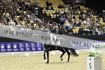 182194_kbb_03_Z092704.JPG