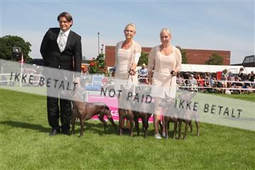 130370_se_02_IMG_6272.JPG