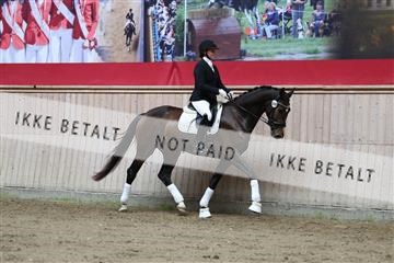 181887_mtp_02_R62_7566.JPG