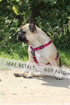 130370_se_02_IMG_5624.JPG