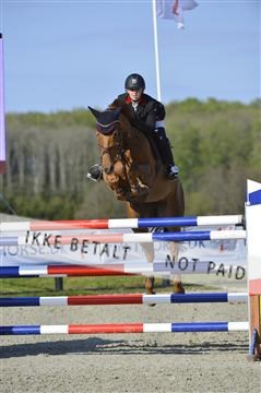 139644_abo_02__AB14757.JPG