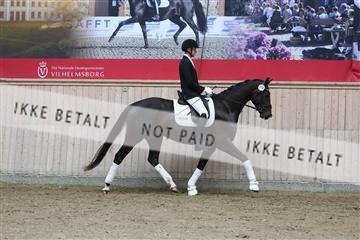 181887_mtp_01_R62_7153.JPG