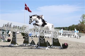 181436_avh_02_3540.JPG