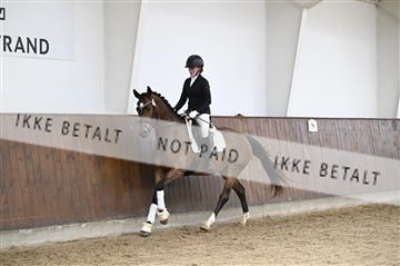 181738_kbb_01_Z099184.JPG