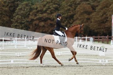 181923_mtp_02_R62_7079.JPG