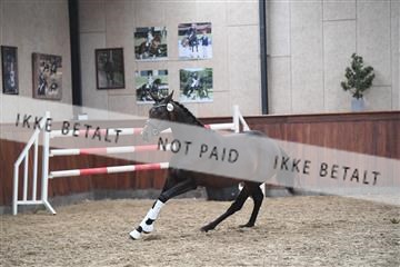 165985_kuo_01_D05_1695.JPG