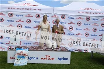 181564_kar_01__62_6769.JPG