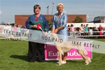130370_se_03_IMG_7805.JPG