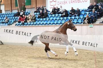 164516_kuo_01_D05_1803.JPG