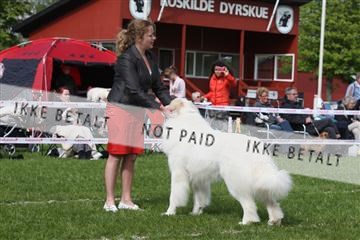 134871_ms_04_IMG_1121.JPG