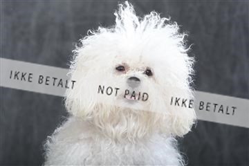 130054_le_ 01_0178.JPG