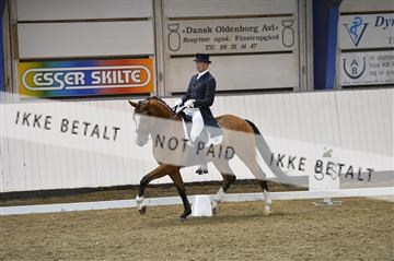 140040_abo_02__AB19666.JPG