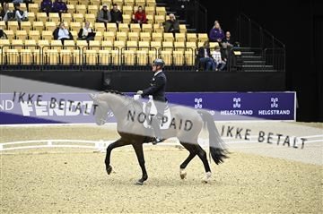 182194_kbb_02_Z098932.JPG