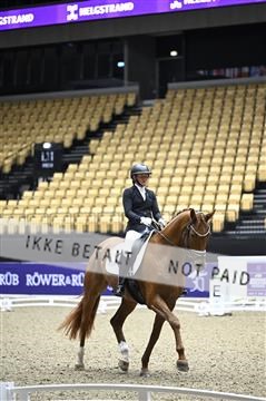 182194_kbb_02_Z097834.JPG
