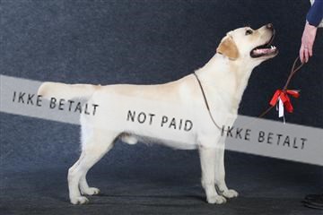 132082_le_ 01_IMG_1035.JPG