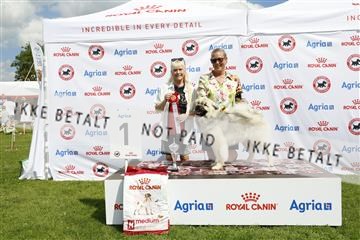 181564_kar_01__62_6890.JPG