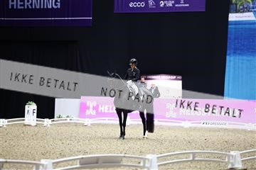 182194_avh_07_3825.JPG