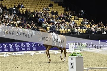 182194_kbb_03_Z091650.JPG
