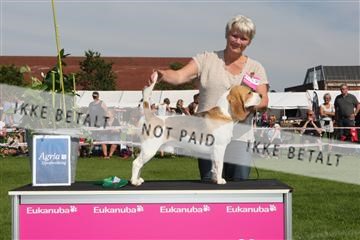 130370_se_02_IMG_6448.JPG