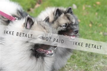 124188 _tl_02_IMG_9173.JPG