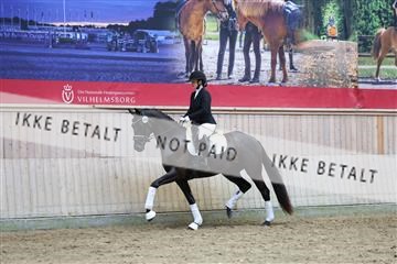 181887_mtp_04_R62_9255.JPG