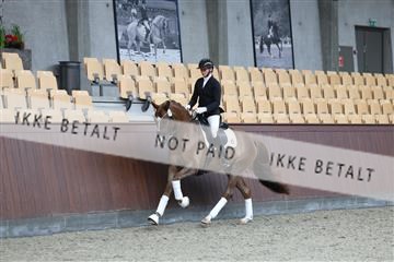 181852_mtp_02_R62_1896.JPG